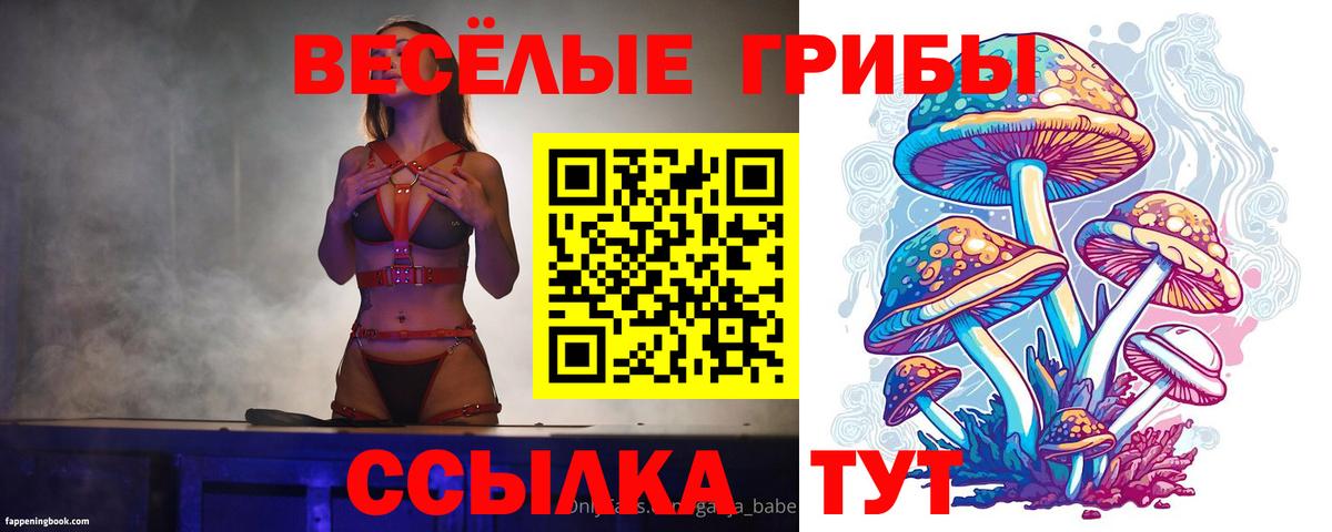 закладки  Псилоцибиновые грибы мицелий  Вход с VPN  Заводоуковск 